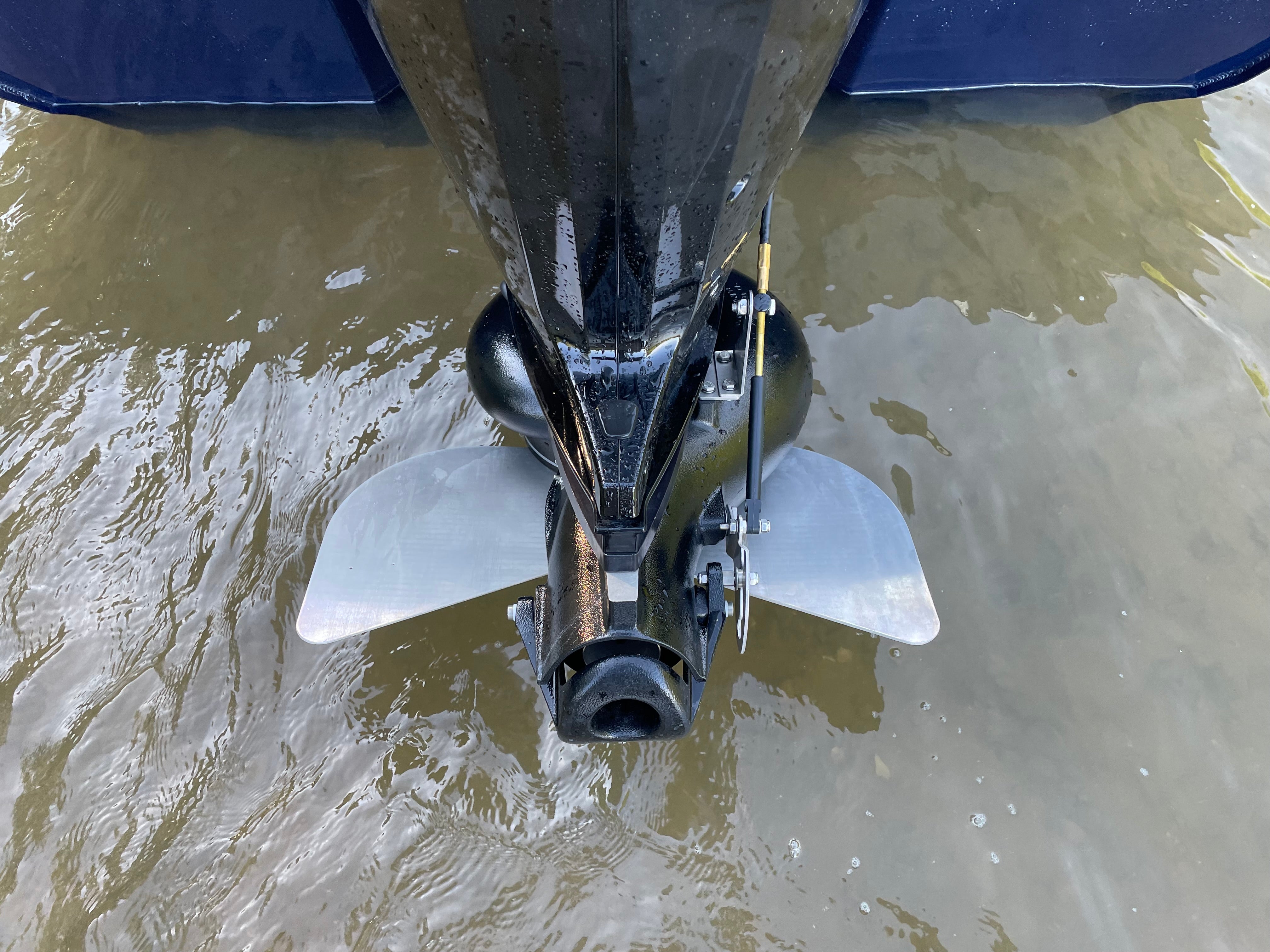 Whale Tail on a Boat